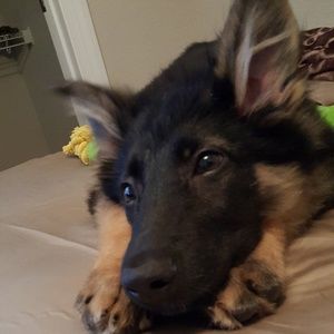 Meet your Posher, Lora